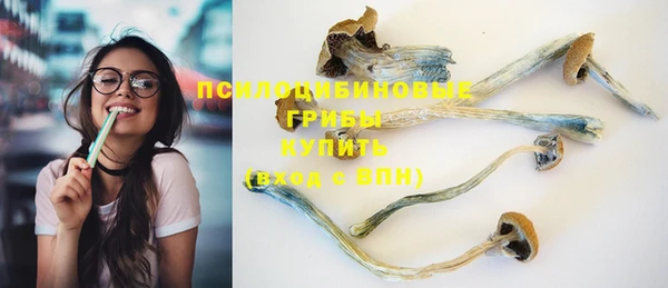 PSILOCYBIN Богородицк