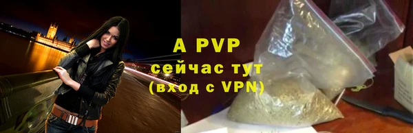 PSILOCYBIN Богородицк
