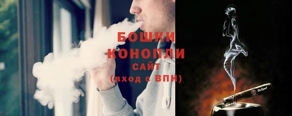 PSILOCYBIN Богородицк