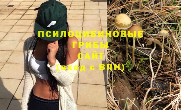 mix Богородск