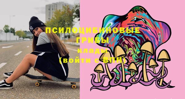 PSILOCYBIN Богородицк