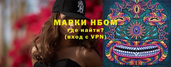 PSILOCYBIN Богородицк