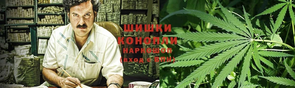 mix Богородск