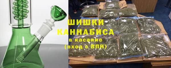 PSILOCYBIN Богородицк
