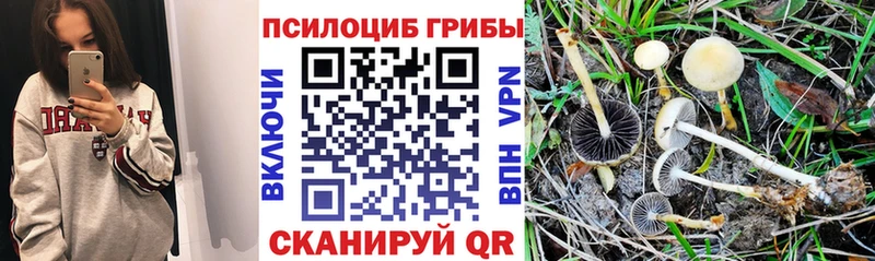 это как зайти  Дно  Галлюциногенные грибы прущие грибы 